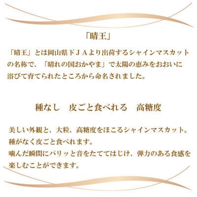 ふるさと納税 津山市 【2026年8月下旬より発送】ご家庭用　岡山県産　シャインマスカット　晴王　400g×2房 |  | 01