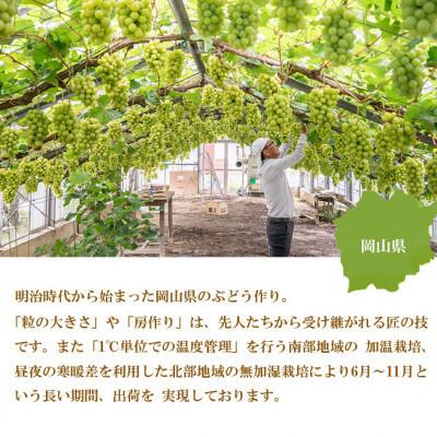 ふるさと納税 津山市 【2026年8月下旬より発送】ご家庭用　岡山県産　シャインマスカット　晴王　400g×2房 |  | 02