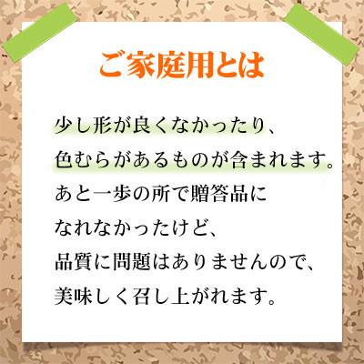 ふるさと納税 津山市 【2026年8月下旬より発送】ご家庭用　岡山県産　シャインマスカット　晴王　400g×2房 |  | 03