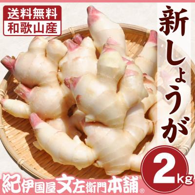 ふるさと納税 和歌山市 [新生姜] フレッシュ新しょうが 2kg詰め 和歌山県産 甘酢漬けや紅ショウガに