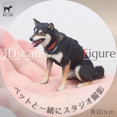 ふるさと納税 中野区 ペットの3Dスキャンと3Dフルカラープリントによる造形(フィギュア)長辺13cm