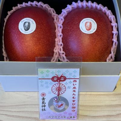 ふるさと納税 宮崎市 宮崎パイオニアマンゴー2L×2+縁結び(HOKUSAIGIFT)