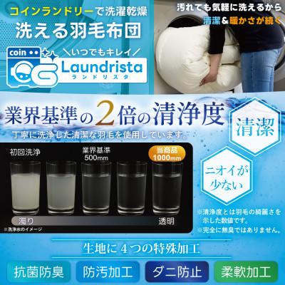 ふるさと納税 韮崎市 洗える 羽毛肌掛け布団 セミダブル 春夏用 グレー ホワイトグース93% ダウンケット羽毛布団_2