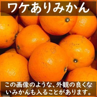 ふるさと納税 湯浅町 [11月より順次発送]和歌山県ありだ産 ワケありみかん10kg 2L〜3S(サイズおまかせ)