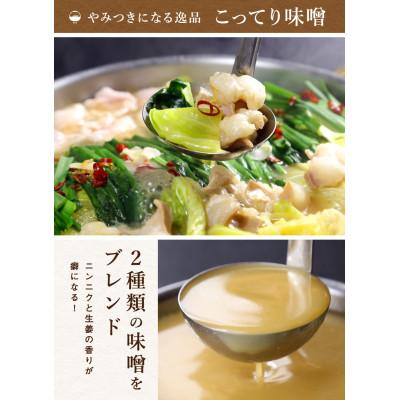 ふるさと納税 竹田市 こってり味噌もつ鍋セット2〜3人前