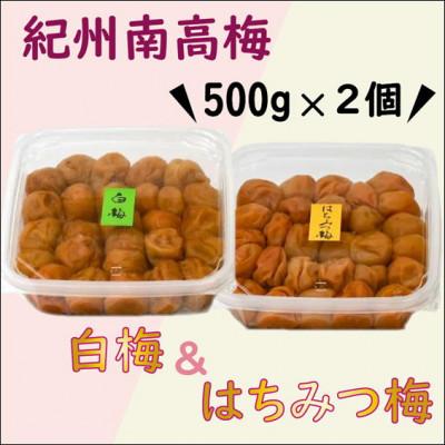 ふるさと納税 白浜町 紀州南高梅 はちみつ&amp;白梅 1kg(各500g)