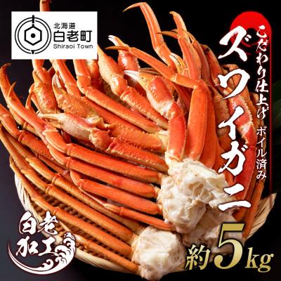 【ちゃき】冷凍ボイル　本ズワイガニ5尾/総重量3.0kg ふるさと納税 白老町 訳あり 本ズワイ蟹脚 ボイル冷凍 5kg(14〜40肩