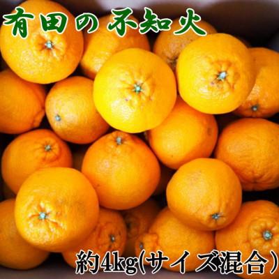 ふるさと納税 新宮市 [濃厚]有田産不知火約4kg(2L〜5Lサイズ混合)(新宮市)