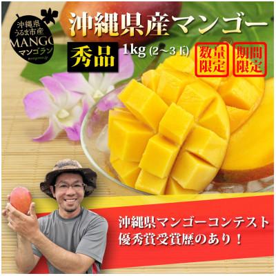 ふるさと納税 うるま市 [農園直送]糖度15度以上!マンゴランの秀品マンゴー約1kg(2玉)