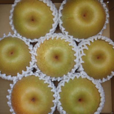 ふるさと納税 高森町 梨 幸水 大玉で糖度13度以上 7〜8個入り 約3kg