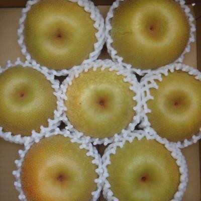 ふるさと納税 飯田市 梨 幸水 大玉で糖度13度以上 7〜8個入り 約3kg