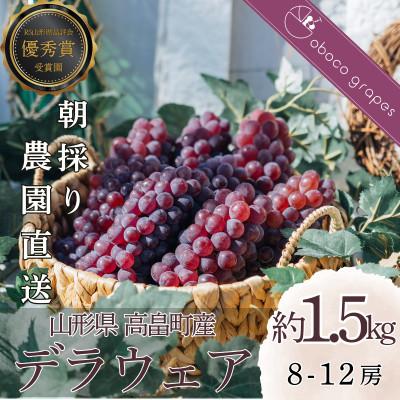 ふるさと納税 高畠町 甘さはじける!デラウェア1.5kg ぶどう