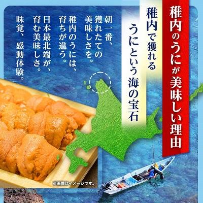 ふるさと納税 稚内市 令和9年発送 先行受付【うにの名産地稚内市】最北端の生むらさきうに(100g×1パック) |  | 02