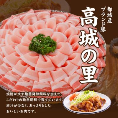 ふるさと納税 都城市 【使い易さ抜群】都城産豚「高城の里」わくわくセット4.1kg |  | 01