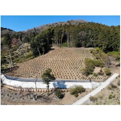 ふるさと納税 越生町 越生町営樹木葬墓苑「五大尊花木墓苑(樹林葬)」使用権