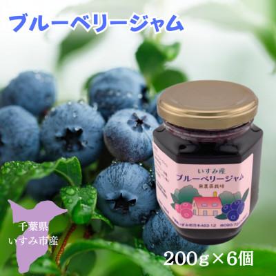 ふるさと納税 いすみ市 千葉県いすみ市で丁寧に育てた手作り無添加　ブルーベリージャム(200g×6個) | 