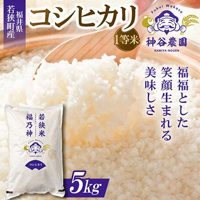 ふるさと納税 若狭町 [令和8年産先行受付]福井県若狭町コシヒカリ(1等米) 5kg