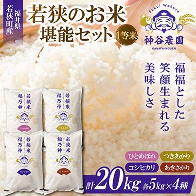 ふるさと納税 若狭町 [令和8年産先行受付]福井県若狭のお米堪能セット(1等米) 5kg×4種(合計20kg)
