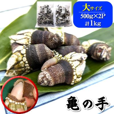 ふるさと納税 新温泉町 亀の手　大サイズ　500g×2袋　計1kg　兵庫県新温泉町　 | 