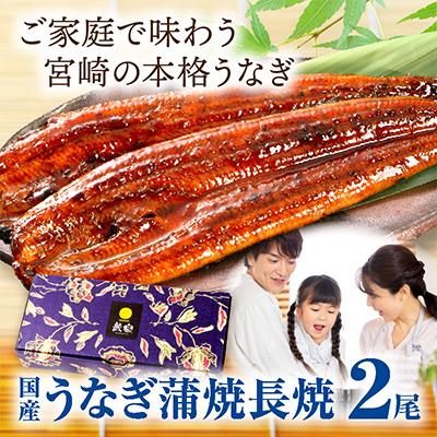 ふるさと納税 宮崎市 国産　うなぎ蒲焼2尾(計340g) |  | 01