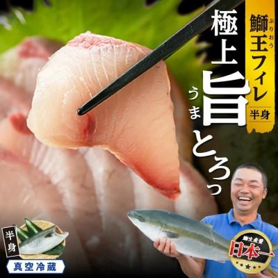 ふるさと納税 長島町 [新物]鰤王フィレ(約0.8kg〜)_jfa-7126R8