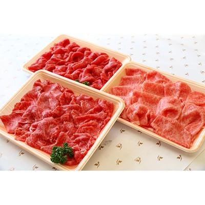 ふるさと納税 水上村 くまもと球磨産 黒毛和牛 切り落とし600g(水上村)