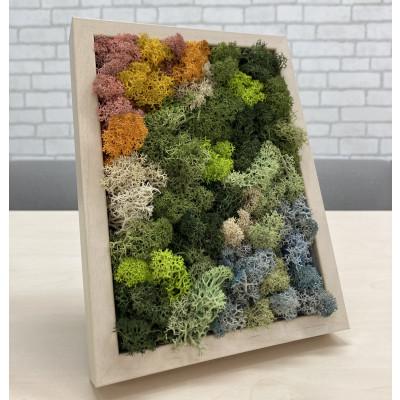 ふるさと納税 大和市 スカンディアモス アートワーク 枠カラー:バーチ調(19.6cm×14.8cm×H4〜5cm)