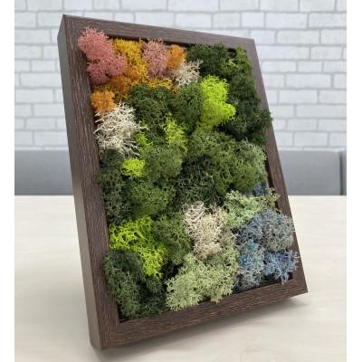 ふるさと納税 大和市 スカンディアモス アートワーク 枠カラー:ブラウン(19.6cm×14.8cm×H4〜5cm)