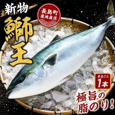 ふるさと納税 長島町 [新物]鰤王ラウンド(約3.0kg)_jfa-7114R8