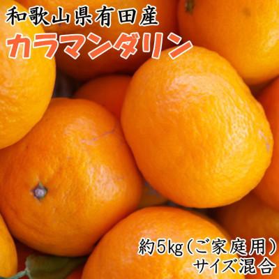 ふるさと納税 印南町 [春みかん]和歌山有田産カラマンダリン約5kg(サイズ混合 ご家庭用)(印南町)