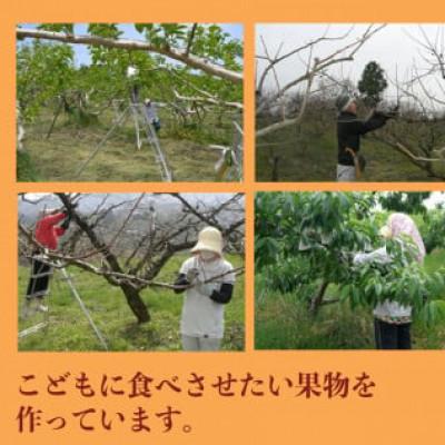 ふるさと納税 五條市 【訳あり】ご自宅用に 富有柿　約7kg(約22〜30個) |  | 03