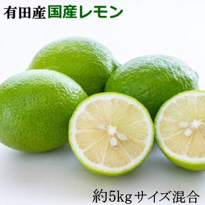 ふるさと納税 上富田町 有田産の安心国産レモン約5kg(サイズ混合) (上富田町)