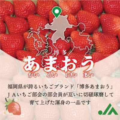 ふるさと納税 岡垣町 福岡県産冷凍あまおう800g(800g×1袋)(岡垣町) |  | 01