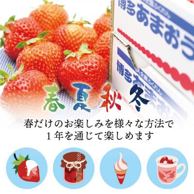 ふるさと納税 岡垣町 福岡県産冷凍あまおう800g(800g×1袋)(岡垣町) |  | 02