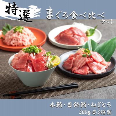 ふるさと納税 静岡市 [静岡]鮪食べ比べセット200g3種:本鮪切落し200g メバチ鮪切落し200g ねぎとろ200g