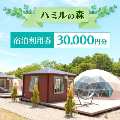 ふるさと納税 那須町 那須ハミルの森の宿泊ギフト券(3万円分)〔G-20〕