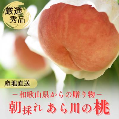 ふるさと納税 紀の川市 名産「あら川の桃」 秀品 約2kg(5〜7個入)の画像
