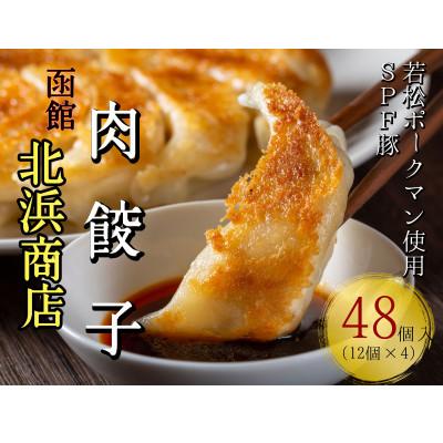 ふるさと納税 せたな町 北海道ブランドSPF豚「若松ポークマン」を使った肉餃子 48個(12個入り×4パック)