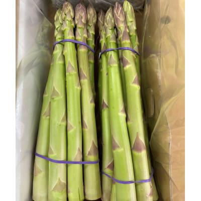 ふるさと納税 東かがわ市 はなまる農園のさぬきのめざめ 2.2キロ!!