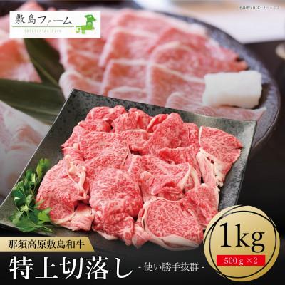 ふるさと納税 那須町 敷島ファームの那須高原 敷島和牛特上 切落し〔C-57〕