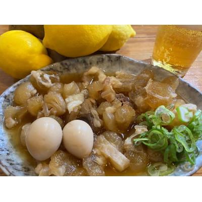 ふるさと納税 宇部市 [訳あり]店長自慢の牛アキレス(牛すじ)煮込み 合計約900g 約150g×6パック