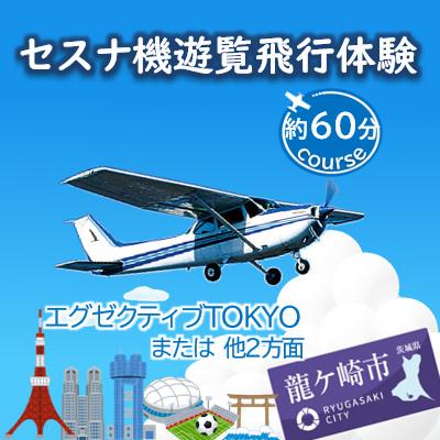 ふるさと納税 龍ケ崎市 [3名]セスナ機遊覧飛行体験[約60分コース](フライトN・O・P)