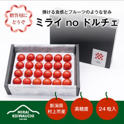ふるさと納税 村上市 『ミライnoドルチェ』プレミアム新潟県村上産ミニトマト(化粧箱入り)500g程度×1ケースA4211
