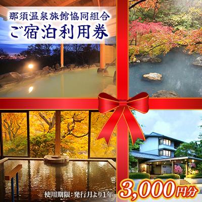 ふるさと納税 那須町 那須温泉旅館協同組合ご宿泊利用券 3,000円分〔B-9〕