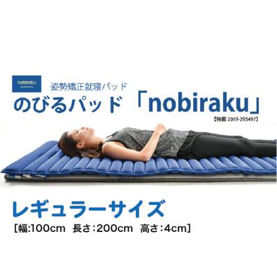 ふるさと納税 越前市 姿勢矯正就寝パッド nobiraku 「ノビラク」[レギュラーサイズ]手洗い可