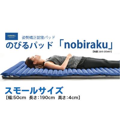 ふるさと納税 越前市 姿勢矯正就寝パッド nobiraku 「ノビラク」[スモールサイズ]キャリーケース付き・手洗い可