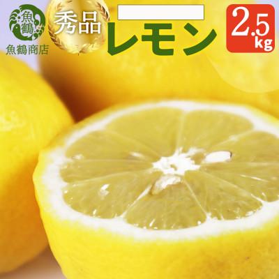 ふるさと納税 湯浅町 [先行予約][2027年3月上旬より発送]秀品 紀州湯浅産レモン 2.5kg