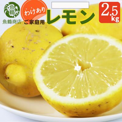 ふるさと納税 湯浅町 [先行予約][2027年3月上旬より発送][ご家庭用訳あり]紀州湯浅産レモン 2.5kg