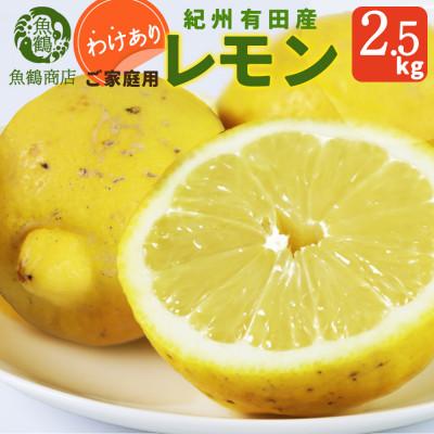 ふるさと納税 日高町 [ご家庭用訳あり]紀州有田産レモン 2.5kg