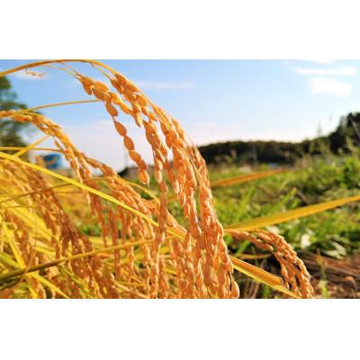 ふるさと納税 那須町 那須産 コシヒカリ2kg ≪白米≫〔A-47〕 |  | 01